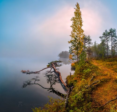Тишина осени