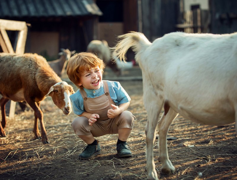 Funny Village фото превью