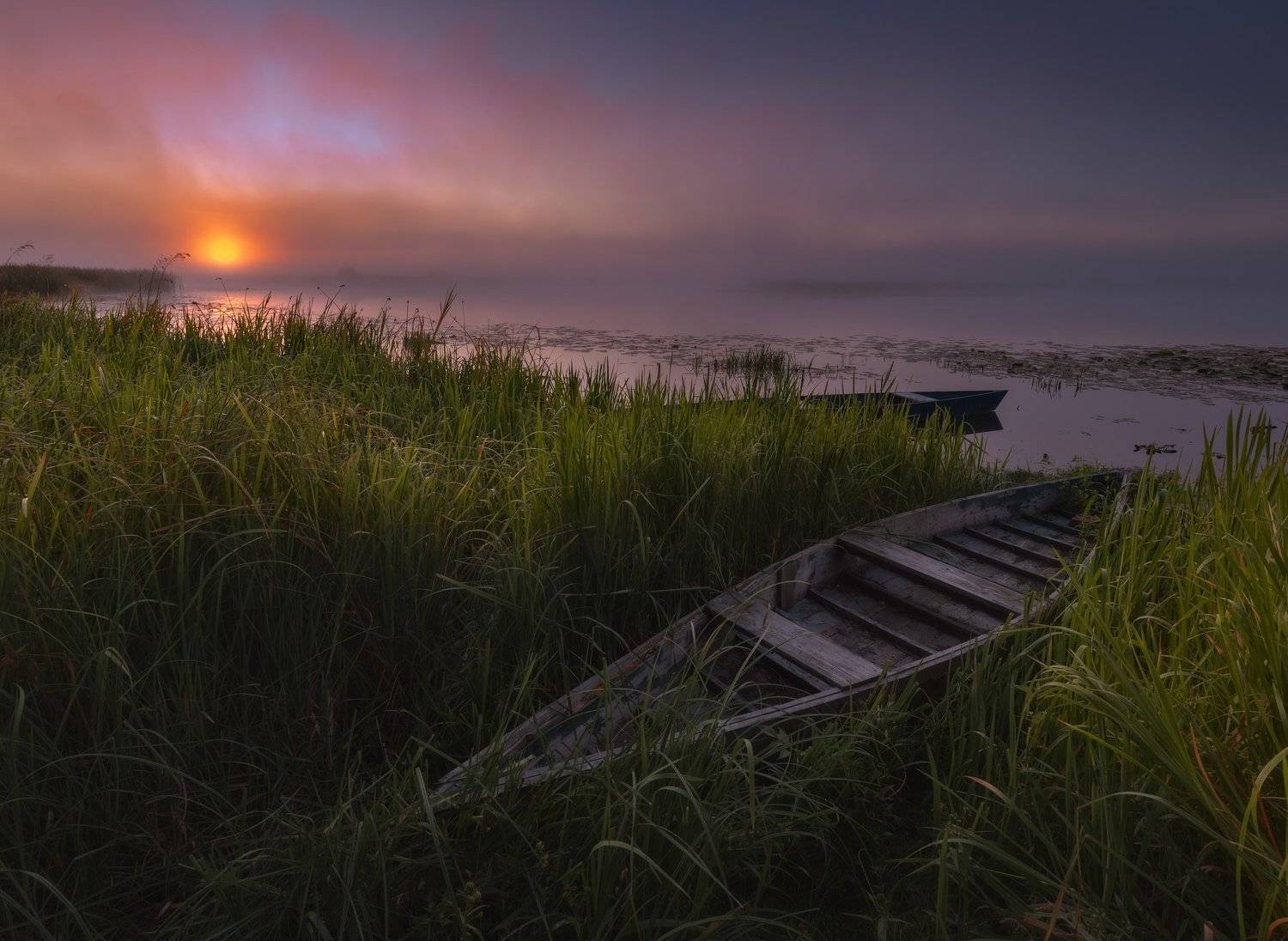 полесье, черниговщина, десна, Зинченко Роман