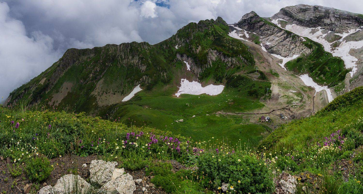 , Игорь Мелекесцев