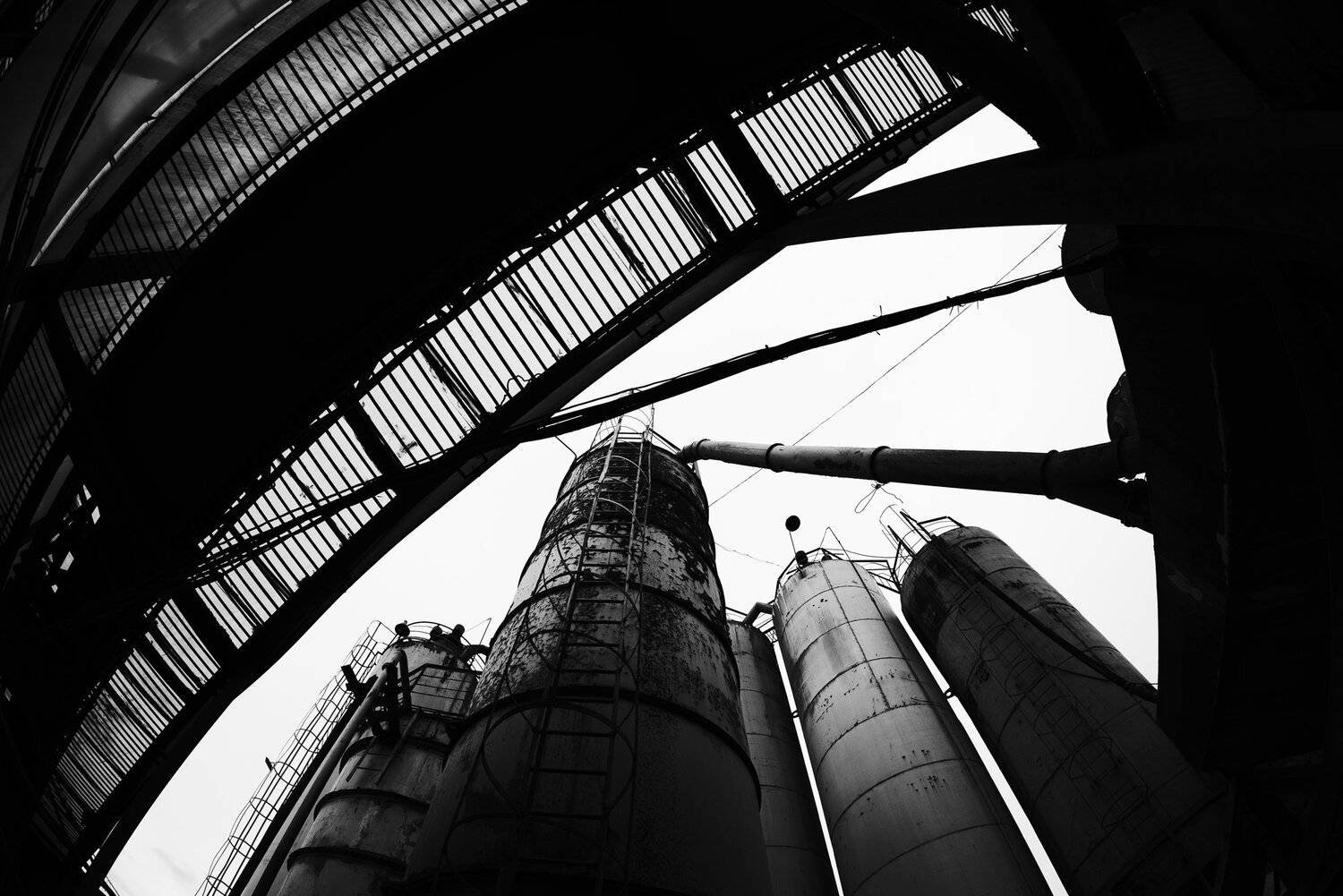 завод, фишай, Алексей Егоров