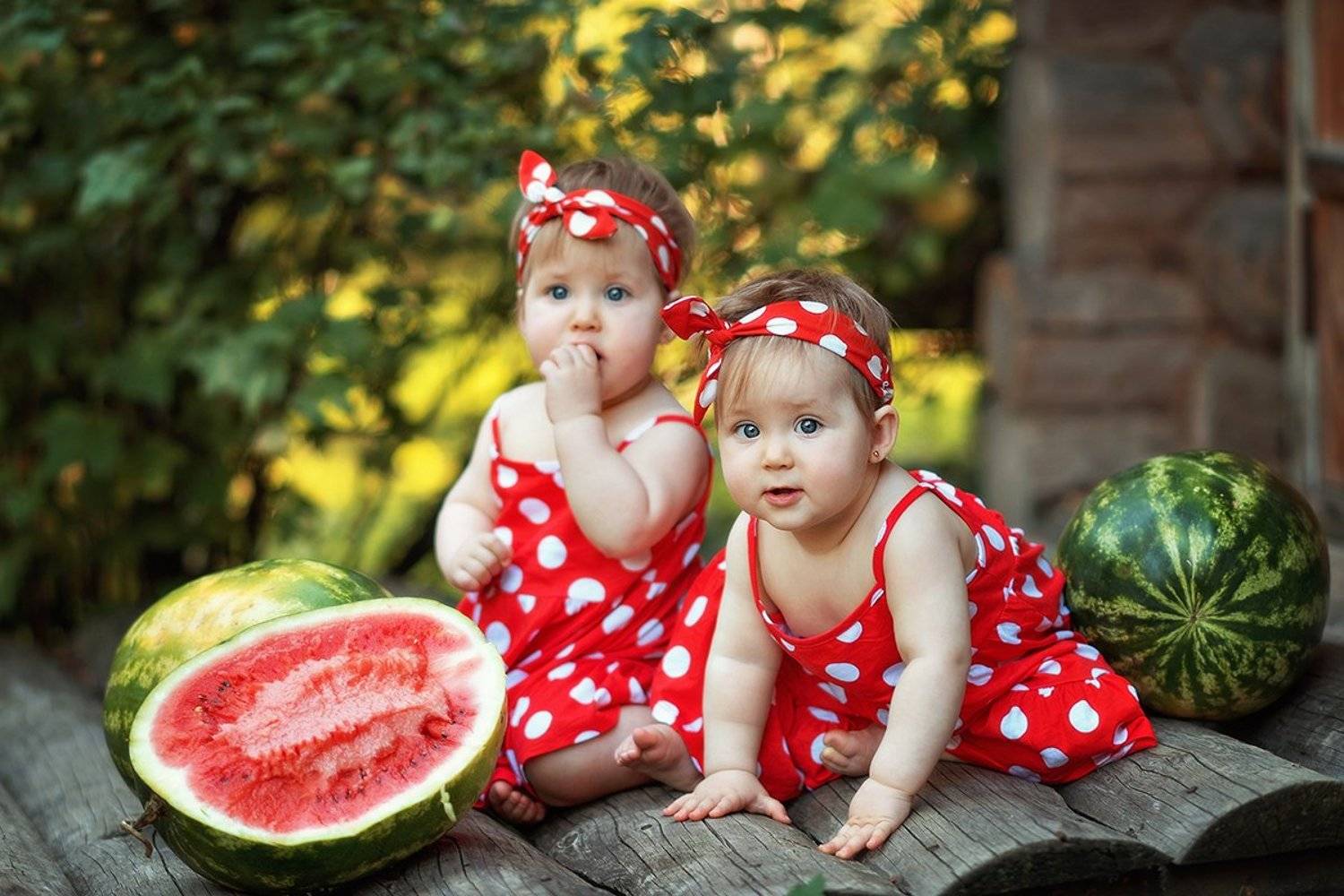 , Алена Волкова