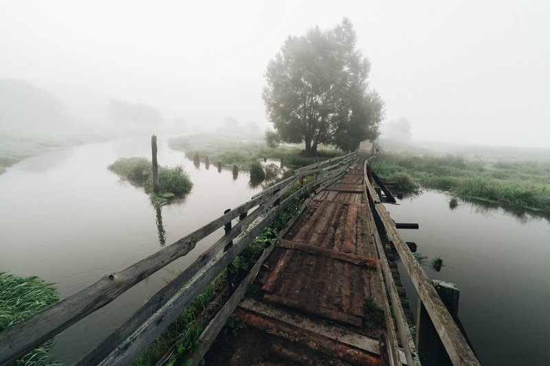 Река Шерна фото превью