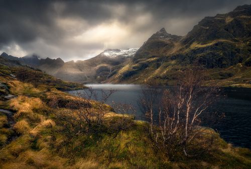 The silence of nature