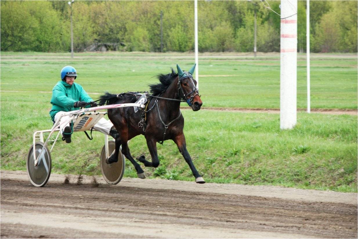 ипподром, КарОл