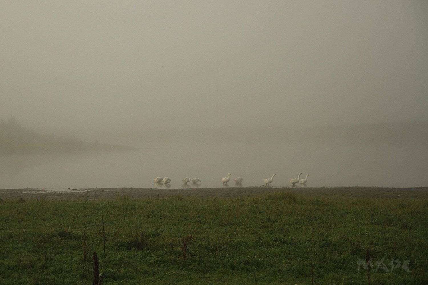 пейзаж, туман, река ай, Шангареев Марс