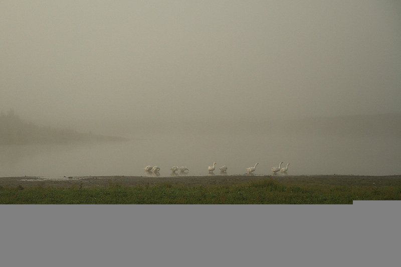 пейзаж, туман, река ай Туман на реке Ай фото превью