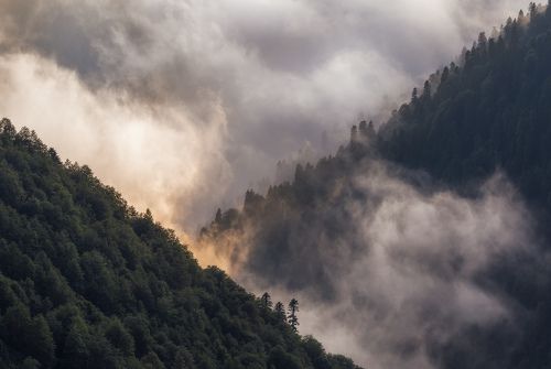 Геометрия природы
