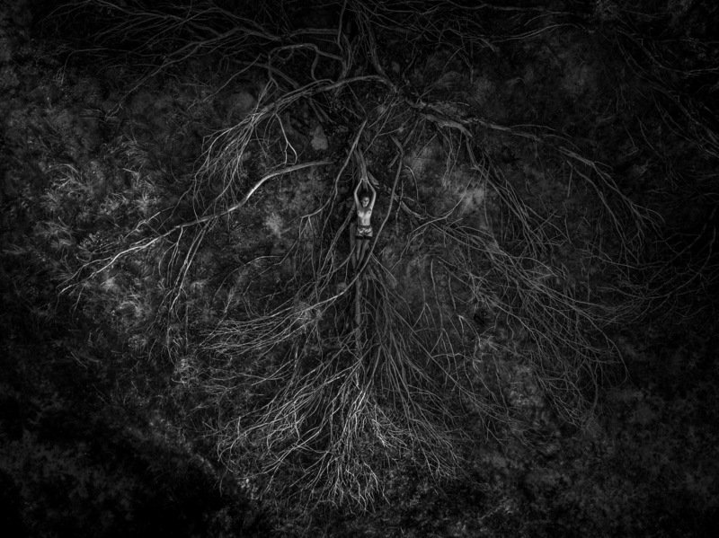 Единение фото превью