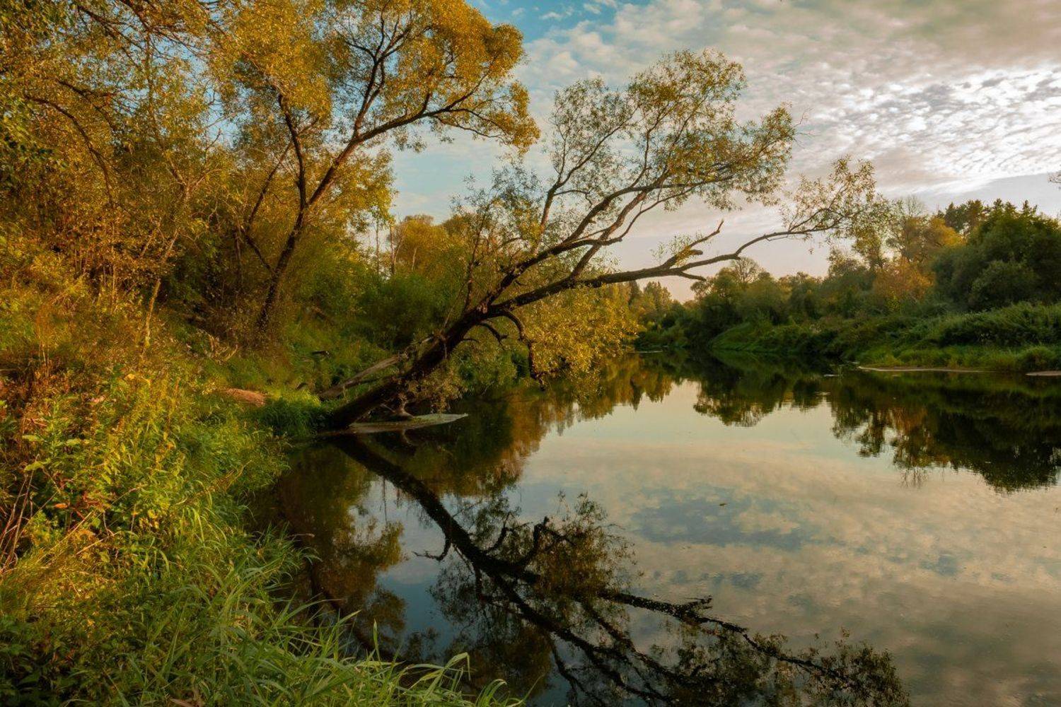 пейзаж, Виктор Парщиков