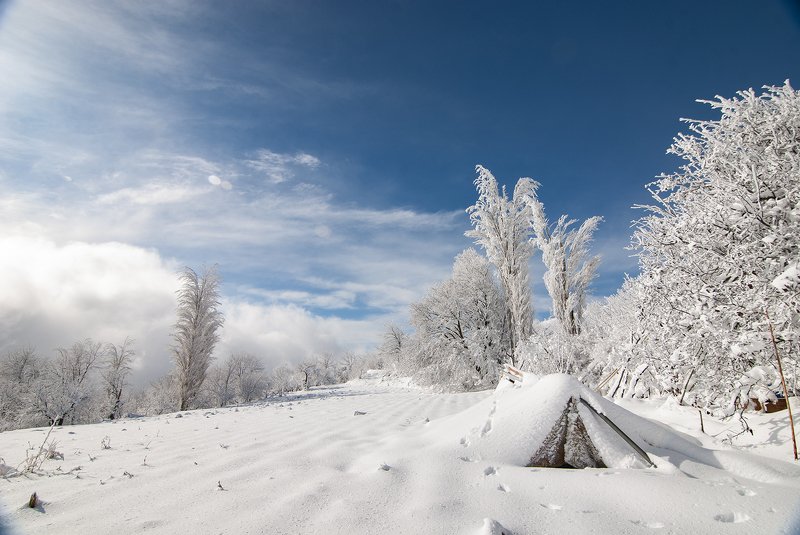 snow, winter, trees, road, sky, cloud, mountains, white фото превью
