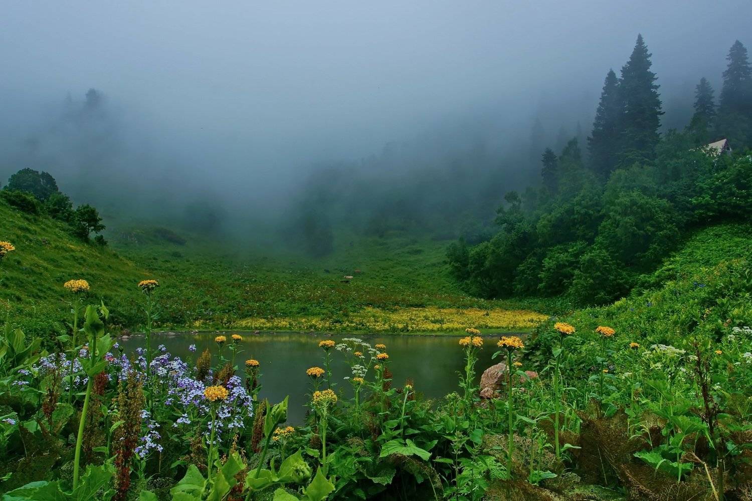 лето, горы, Евгений Никишин