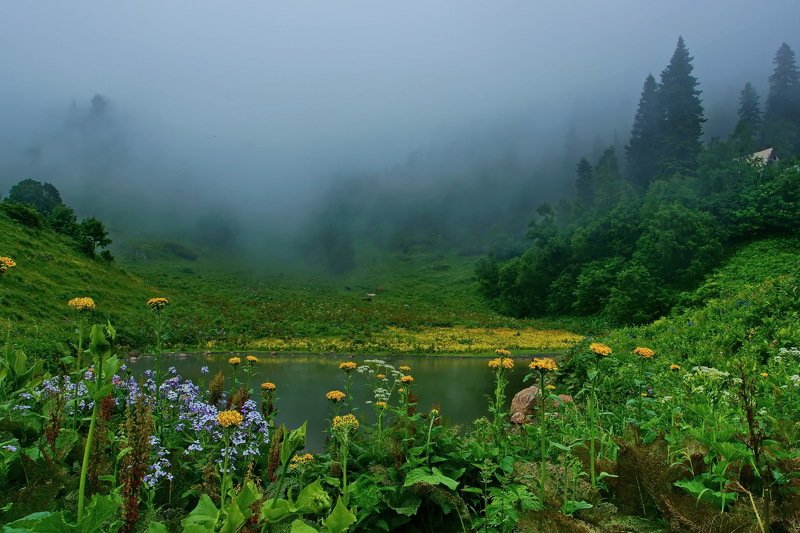 лето, горы Июль фото превью