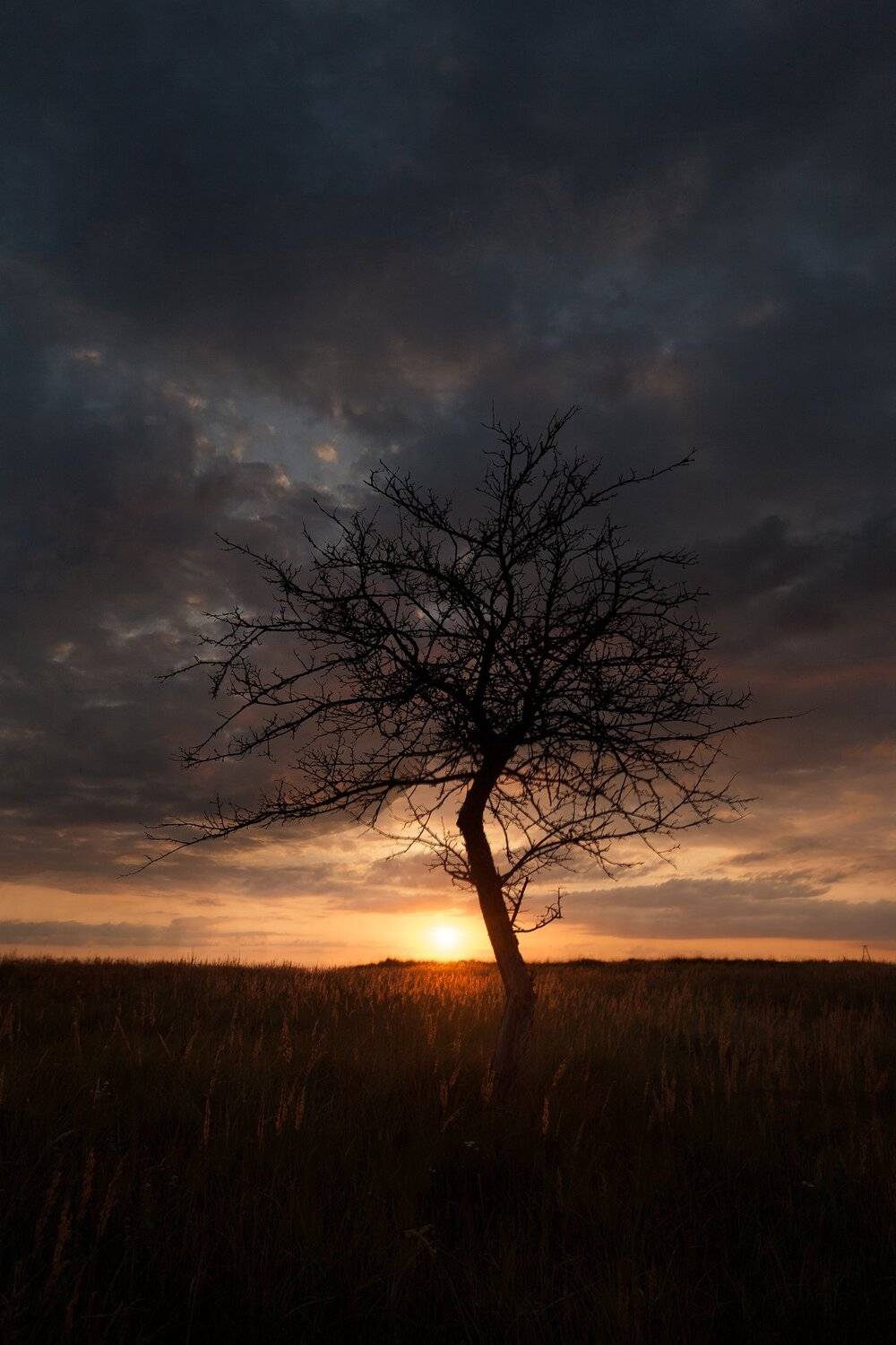 , Виталий Стрельцов