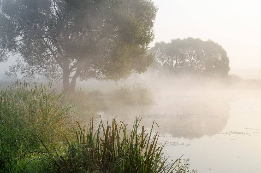 Калужская обл., р. Истья, Юсупов Александр