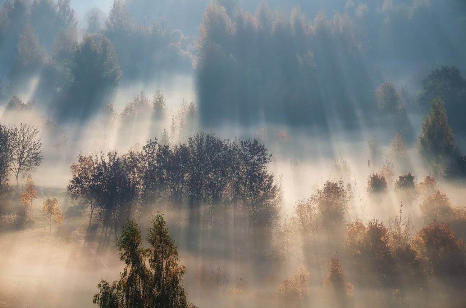 рассвет туман осень утро лучи, Дима Карабинов