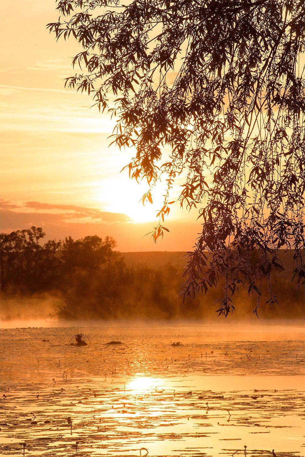 , Оксана Гимранова