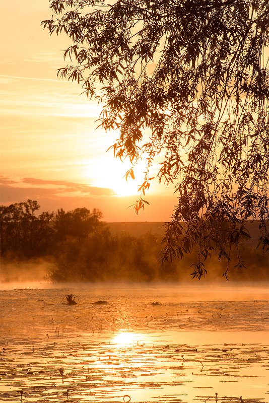 утро на реке фото превью
