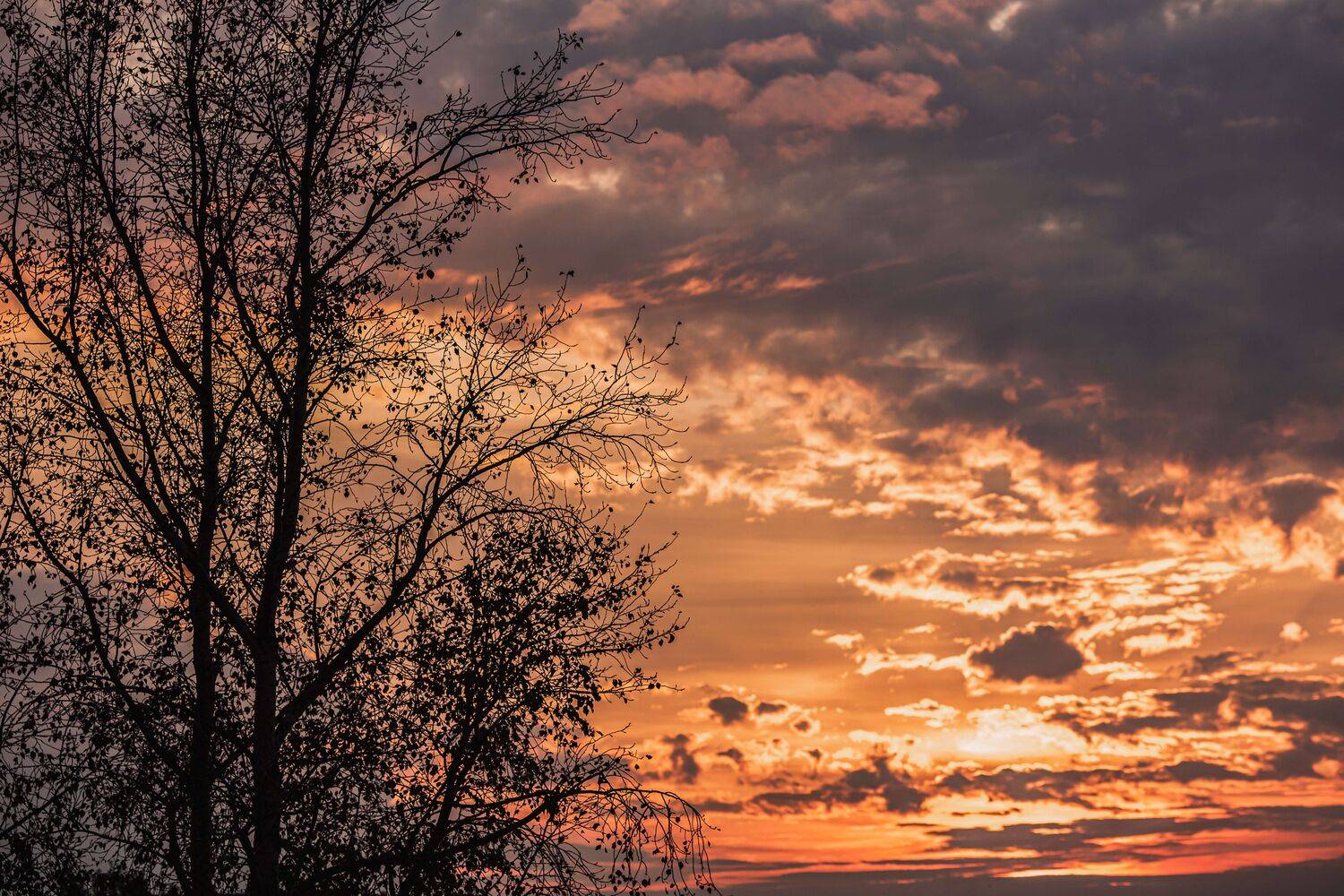 закат, пейзаж, небо, осень, Владимир Васильев