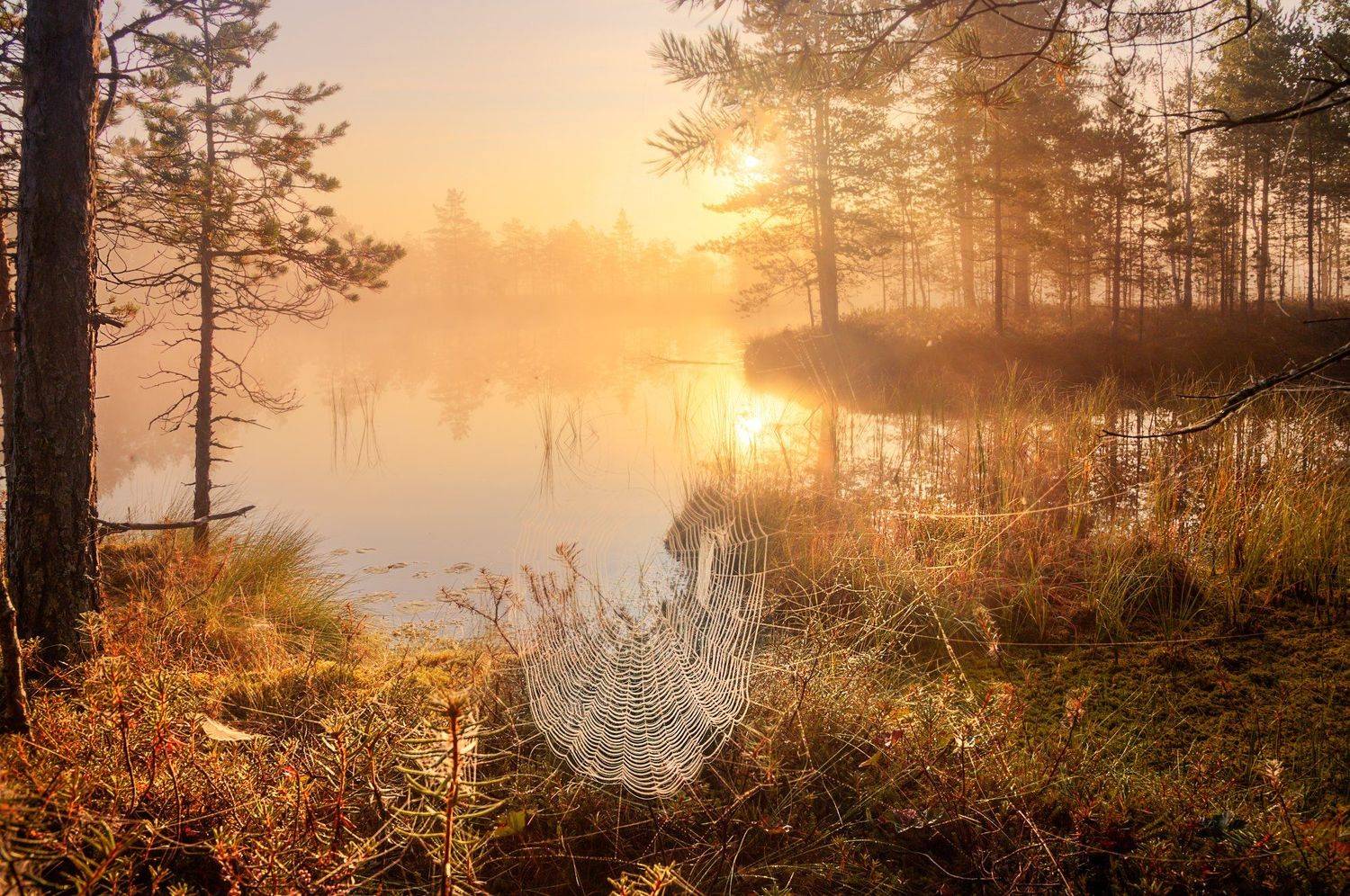 , Эдуард Гордеев