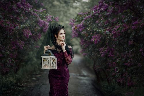The Violet Countess