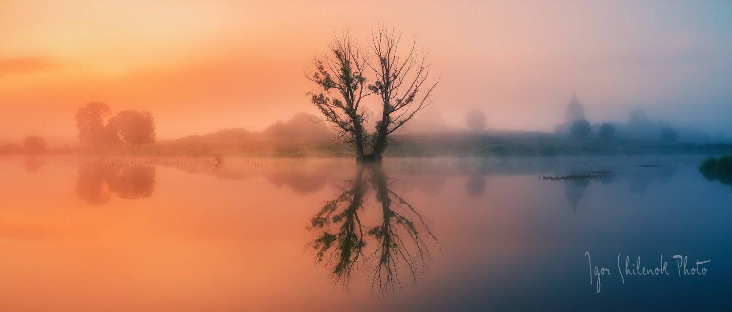 утро, туман, осень, Игорь Шиленок