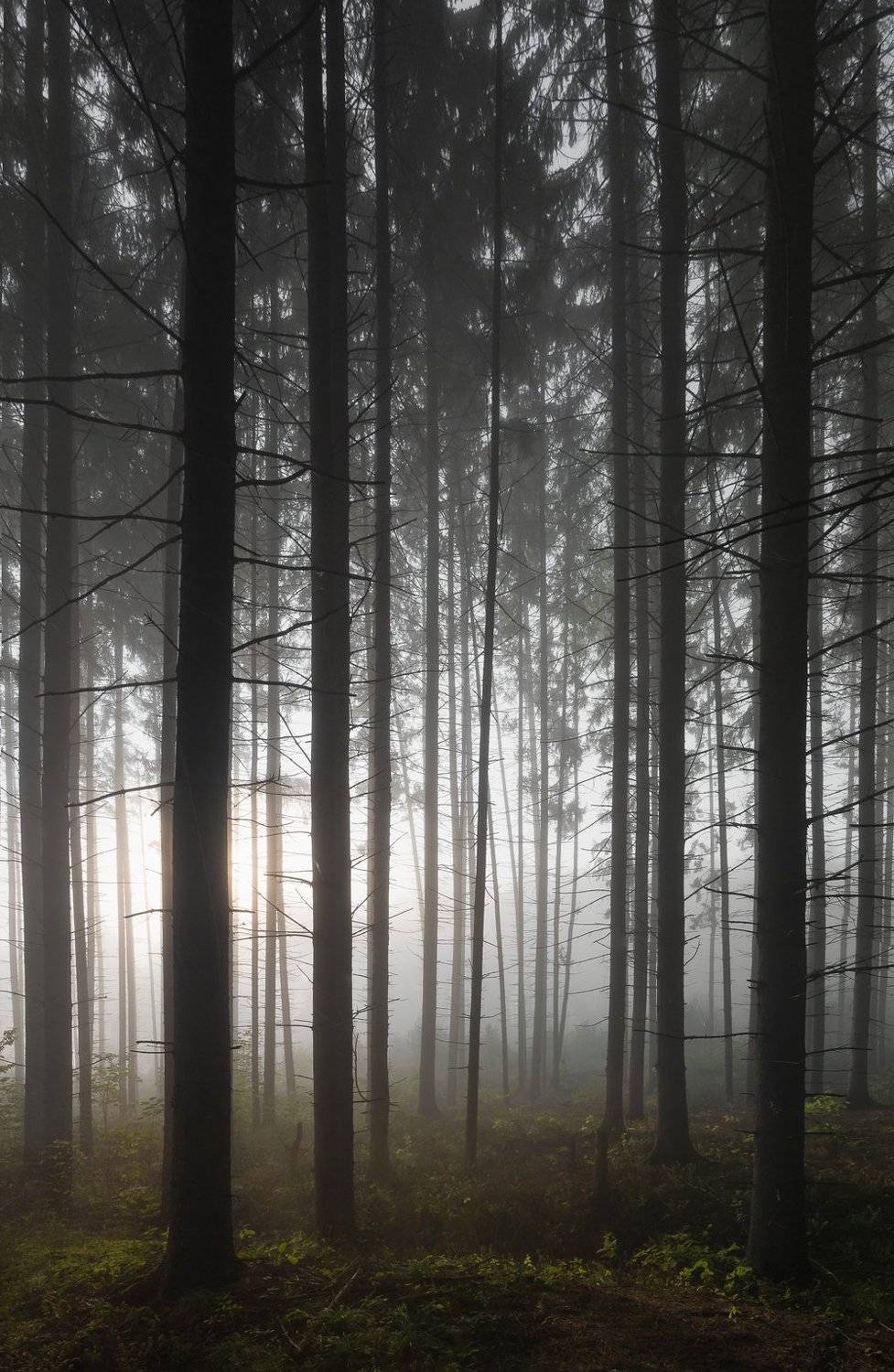 , Баранов Олег