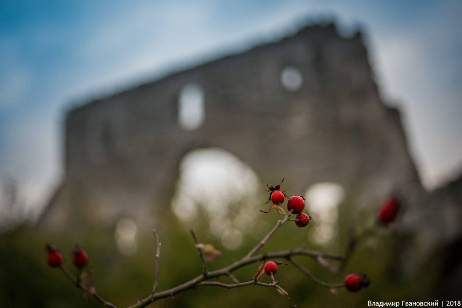 , Гвановский Владимир