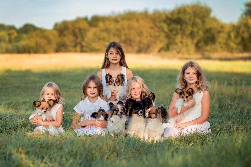 Папильоны фото превью