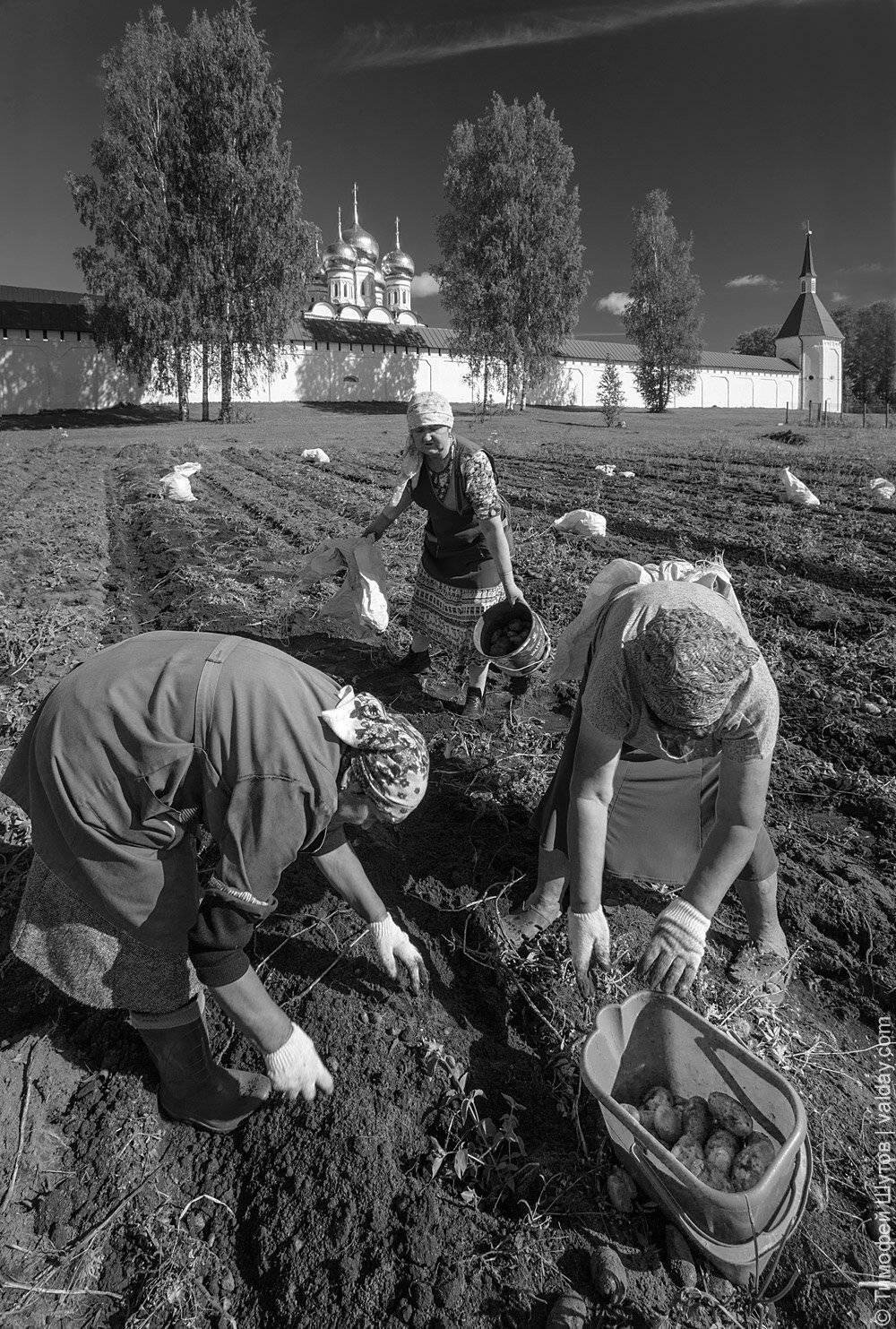 иверский монастырь, валдай, Тимофей Шутов