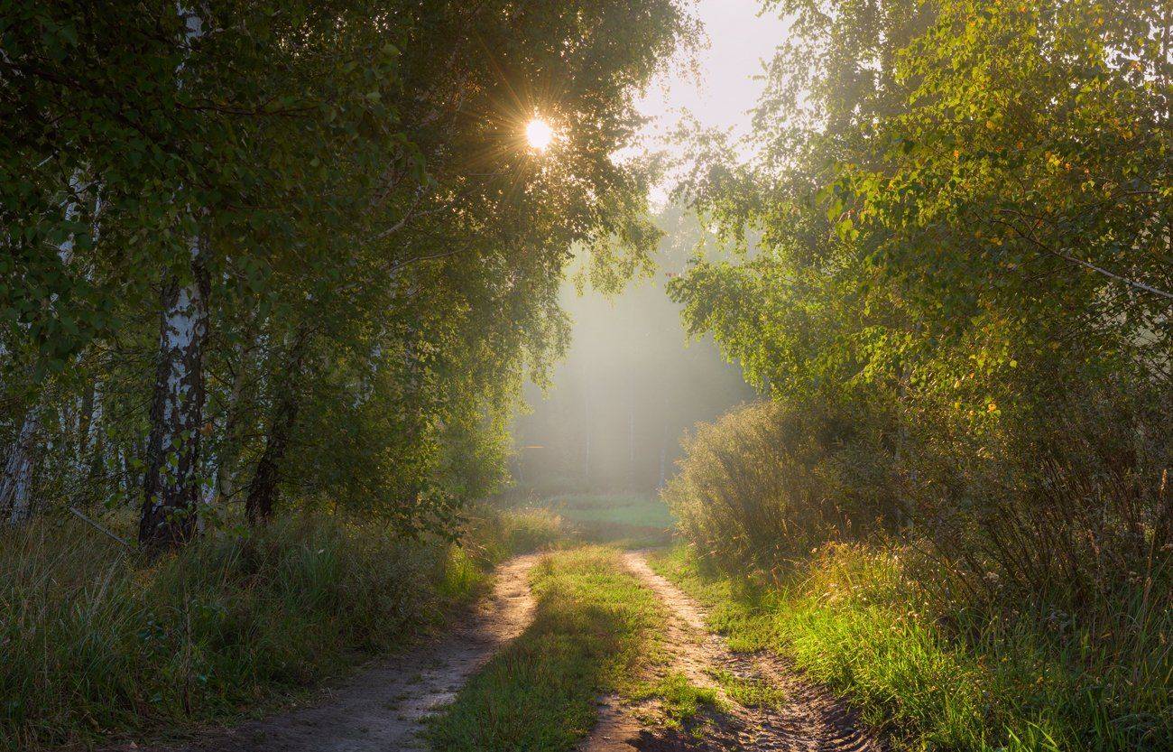лето, август, рассвет, лучи, Галанзовская Оксана
