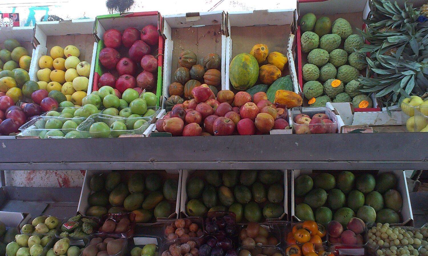 тель-авив, Tel-Aviv> Carmel, Maria V. Gorskaya