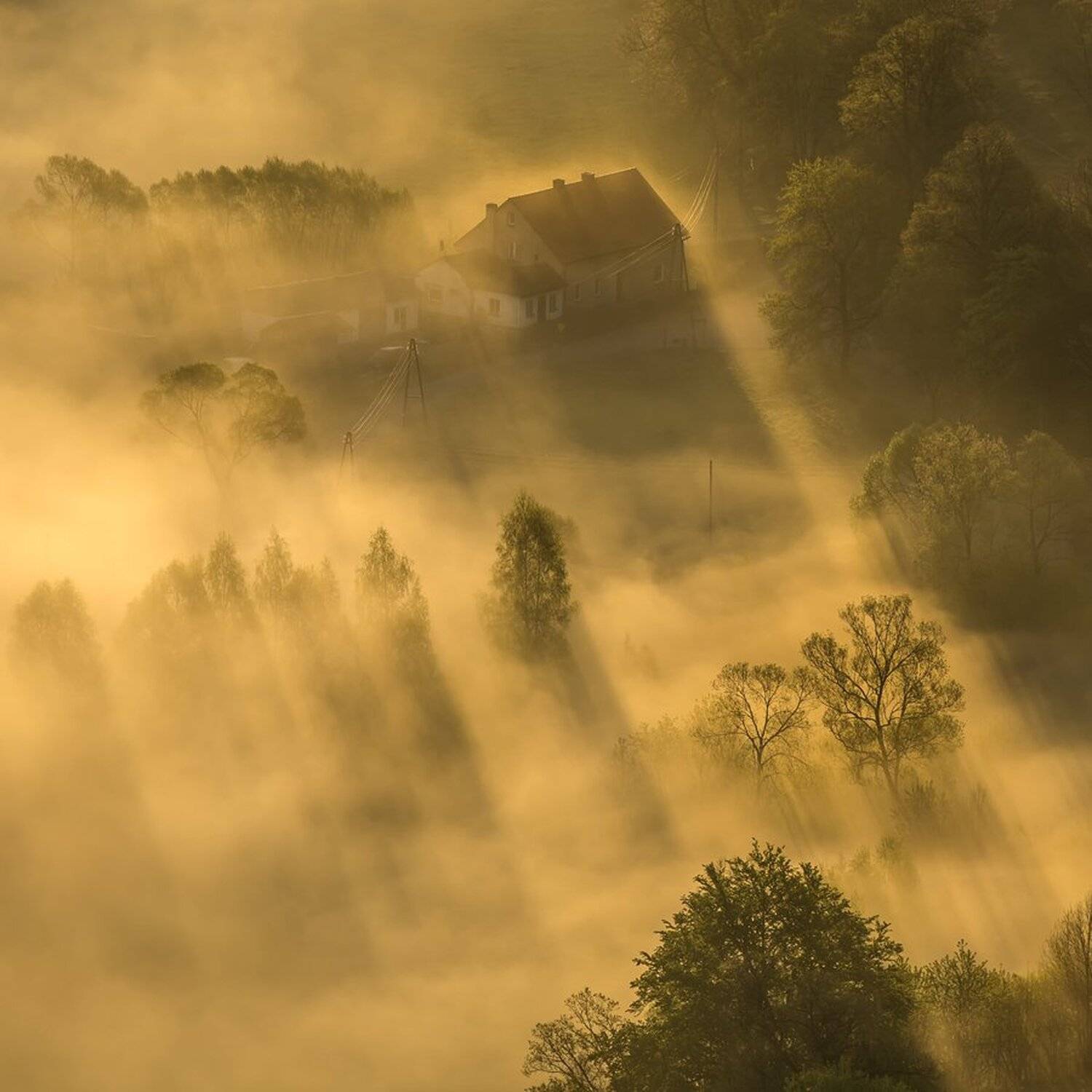 landscape,canon,mist,light,spring, Iza i Darek Mitręga