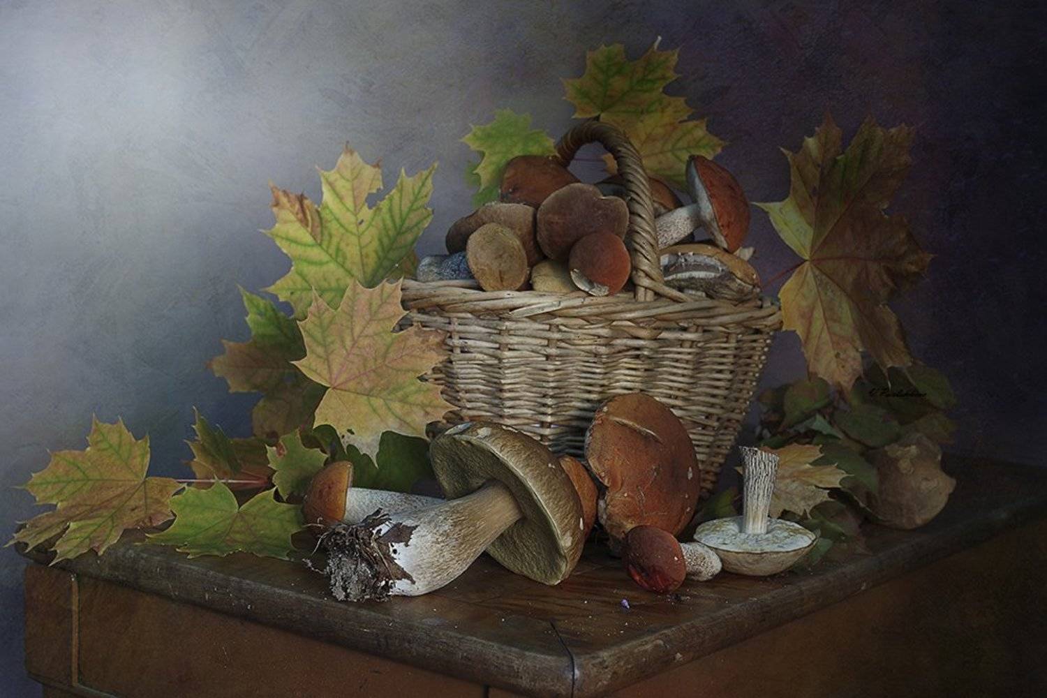 натюрморт,грибы,лето,вера павлухина,, Вера  Павлухина