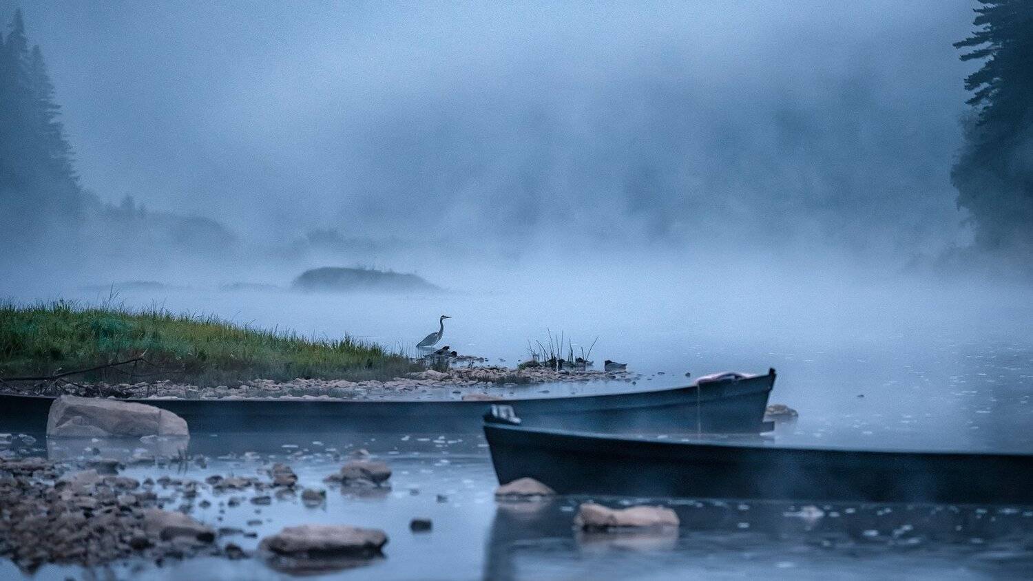 кын, завод, чусовая, река, цапля, лодки, туман, рассвет, утро, урал, горы, Андрей Чиж