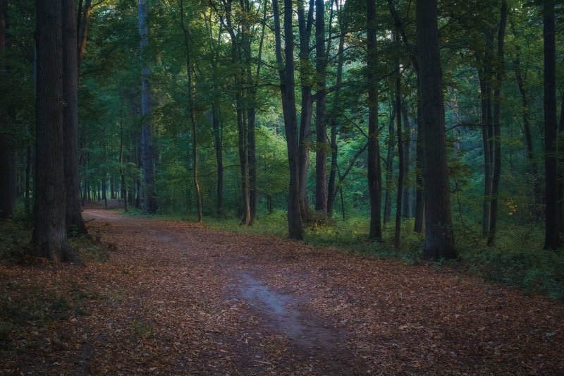 Парк. Начало осени. фото превью