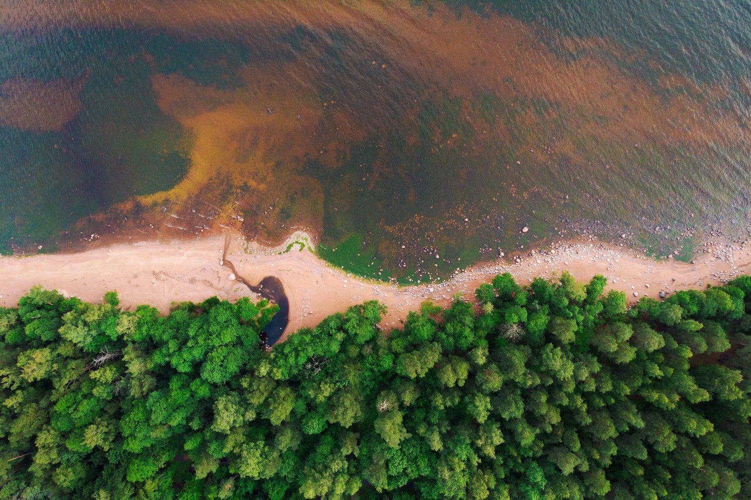 , Юрий Столыпин