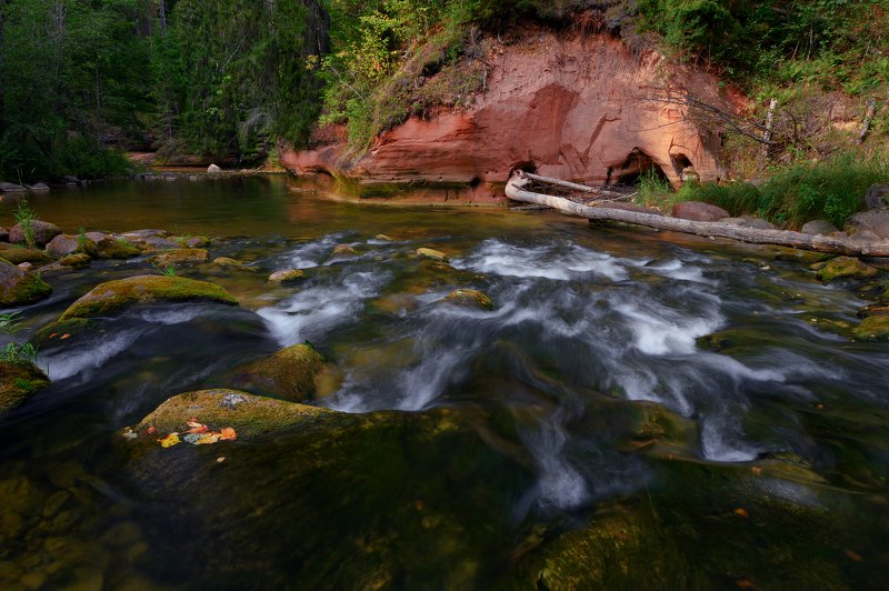 Amata. Lustuzis. фото превью