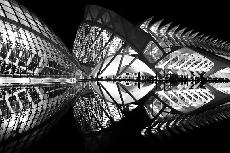 valencia, spain, santiago calatrava, luis lobo henriques, architecture, night, city Narcissus ribs фото превью