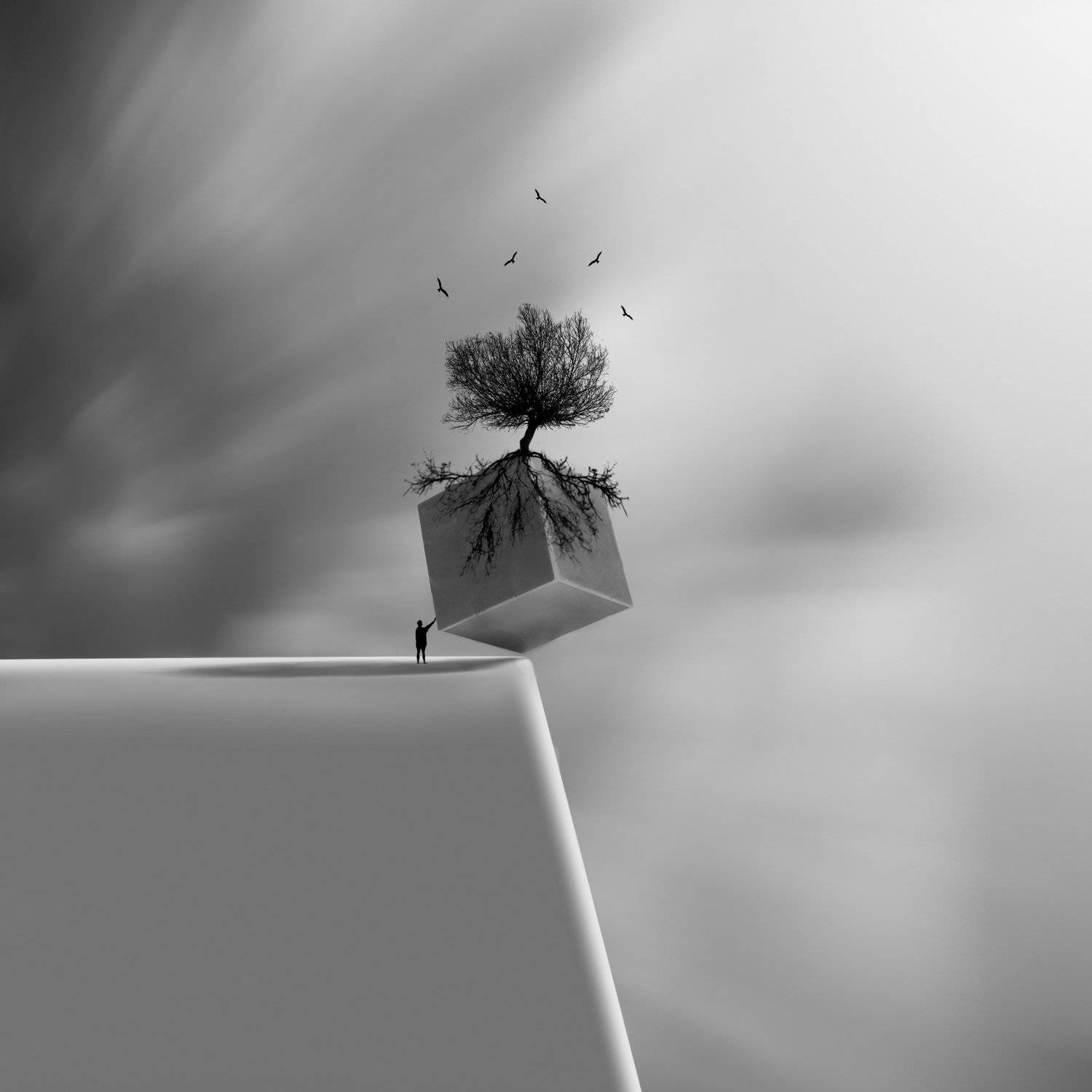 #35photo #surrealart#ps_fantasy#art_minimal #bnw_dream #photography#minimalism#conceptual#fineart #instagram#iranfeature#bnwminimalismmag#art_digital #ir_photographer#ir_aks #photographize#blackandwhite#bnw_greatshots  #surreal#hadimalijani#art#fantastic_, Hadi Malijani