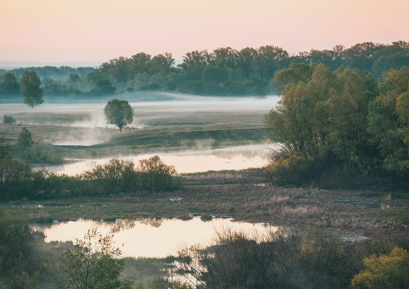 тишина фото превью
