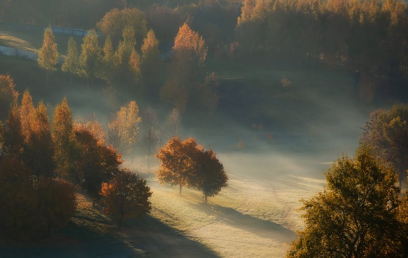 осень, утро, рассвет, туман Просыпалась осень фото превью