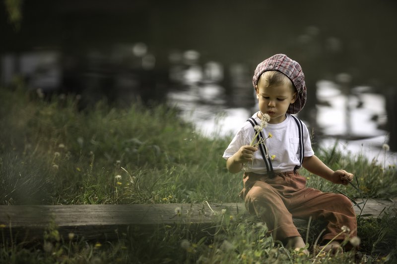 последние одуванчики фото превью