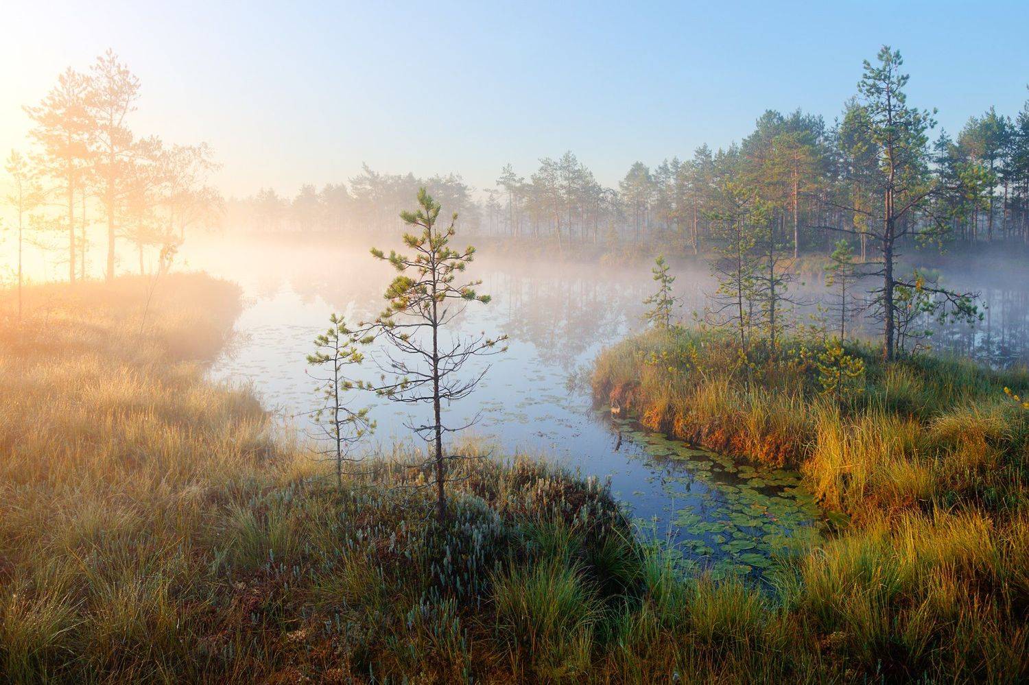 , Эдуард Гордеев