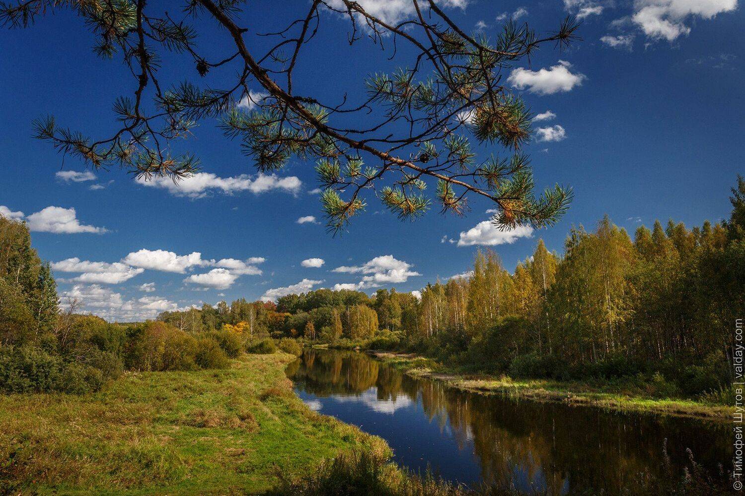 валдай, Тимофей Шутов