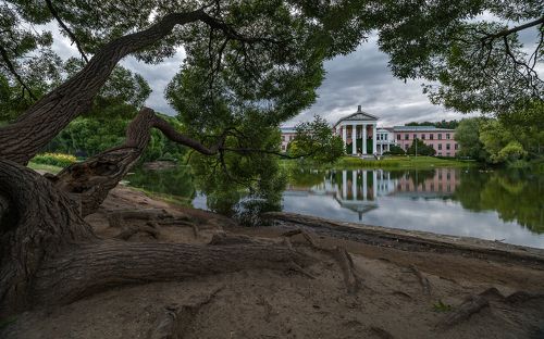 Пасмурный ботанический сад