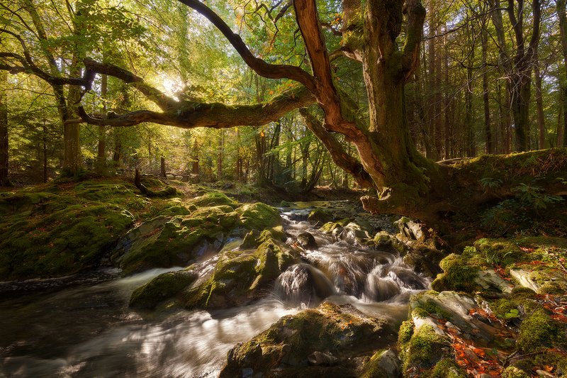 ireland, autumn Autumn in Ireland фото превью
