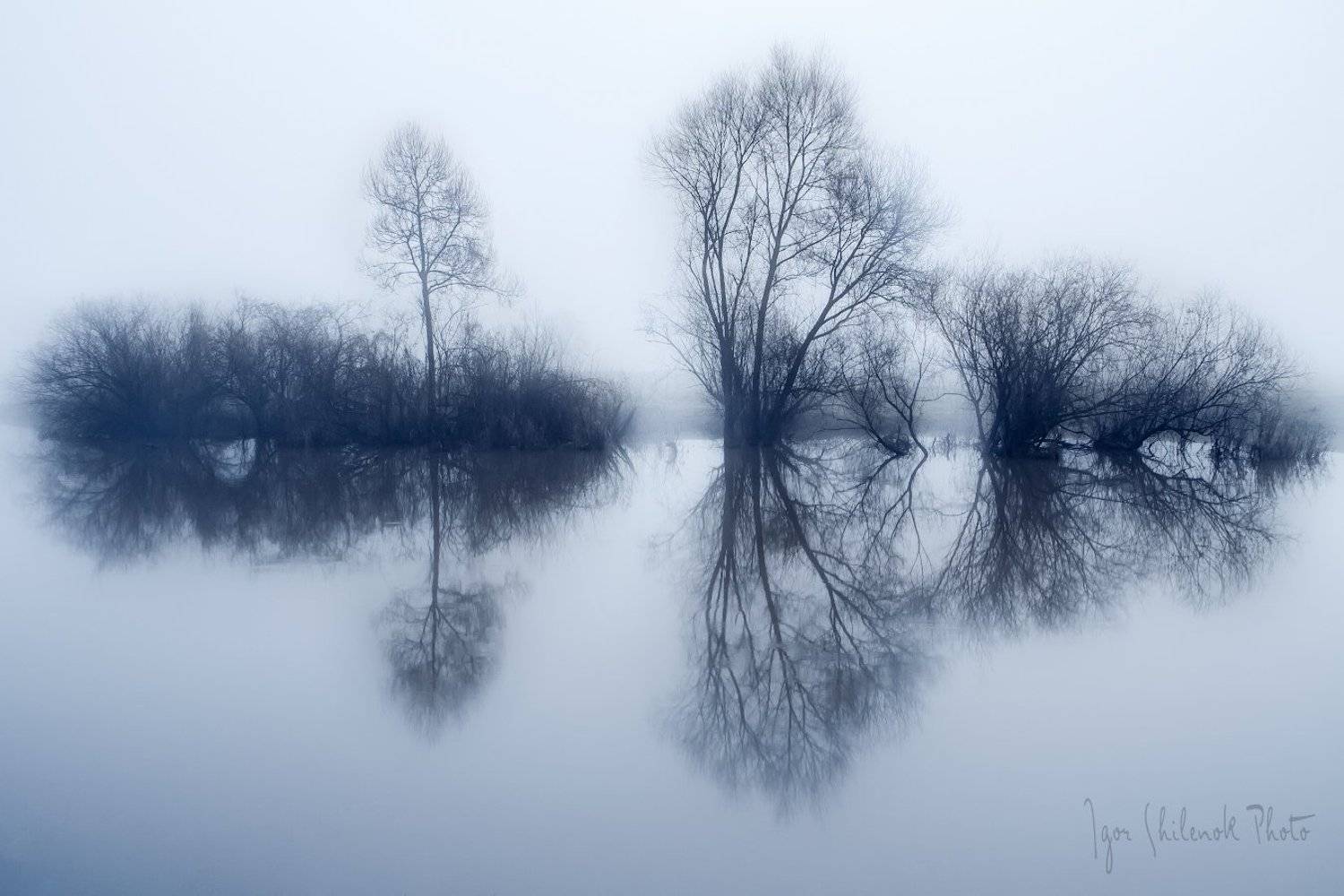 утро, туман, Игорь Шиленок