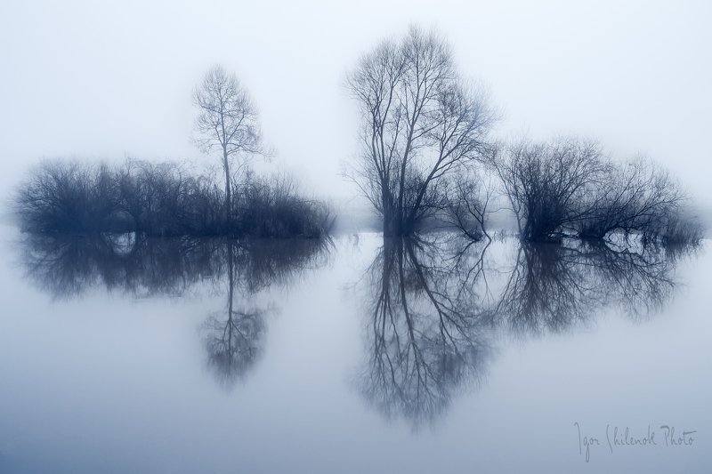 утро, туман *** фото превью