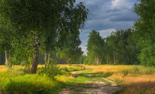 Предгрозовая тишина